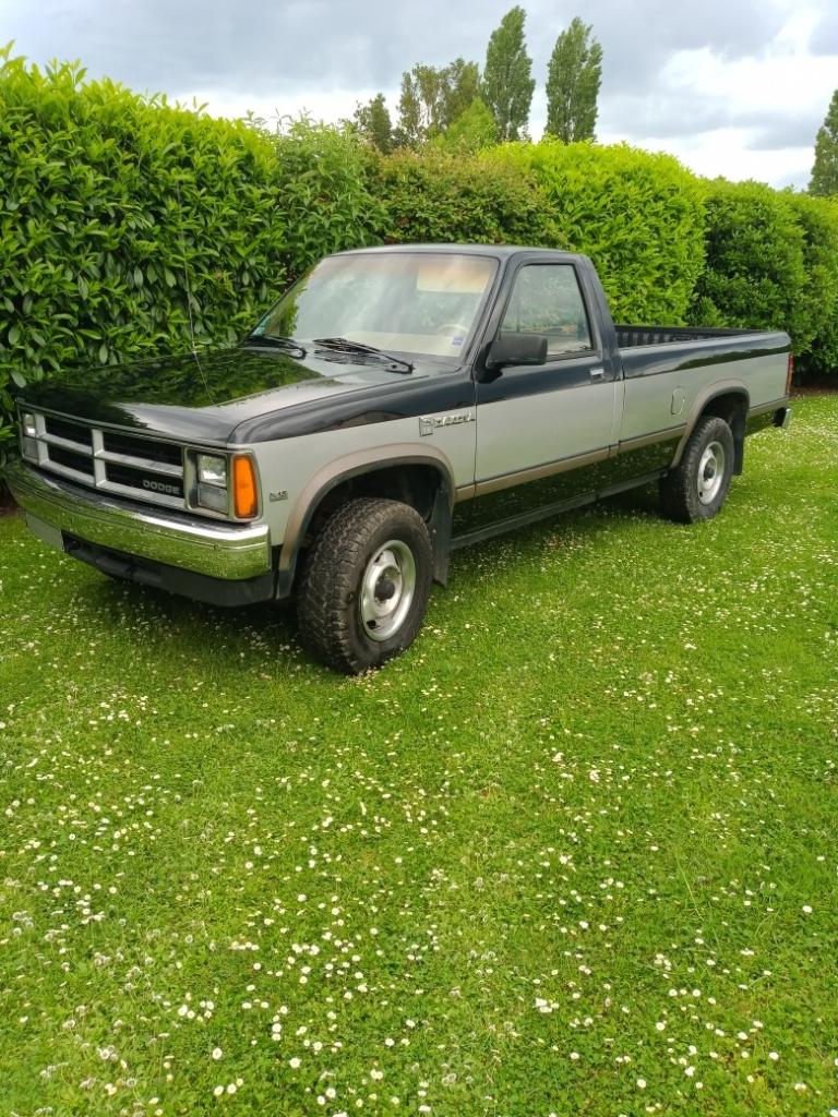 DODGE dakota 1 pickup - 1988 LesAnciennes.com
