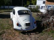 image_1-VOLKSWAGEN Coccinelle - 1967