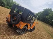 image_3-JEEP Viasa ebro cj3b - 1975