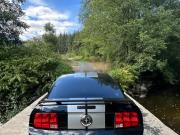 image_5-FORD Mustang