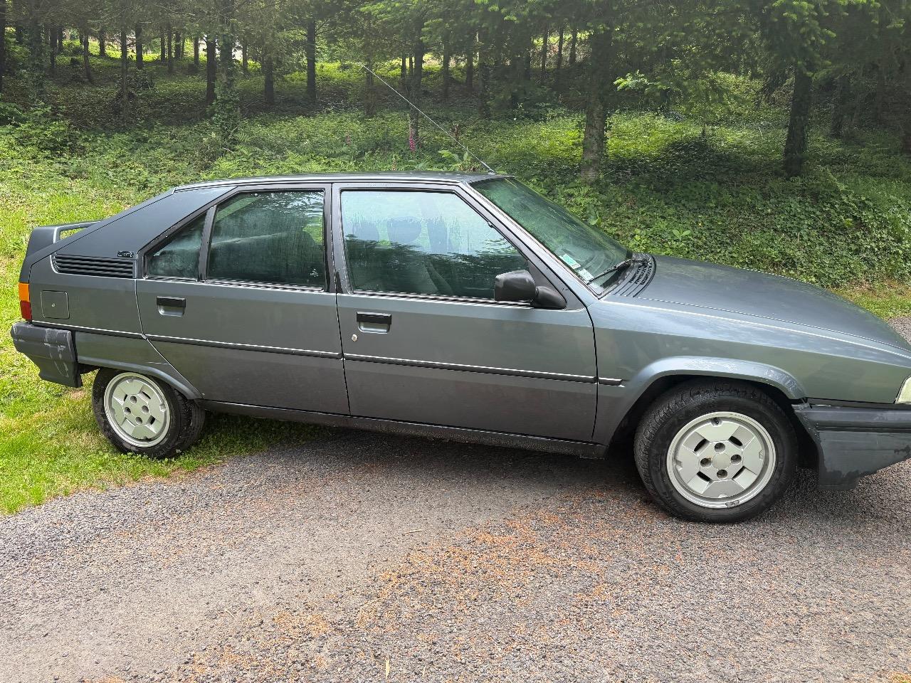 CITROEN BX GTI - 1989 LesAnciennes.com