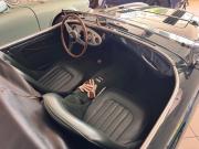 image_5-AUSTIN HEALEY 100 BN1 - 1954
