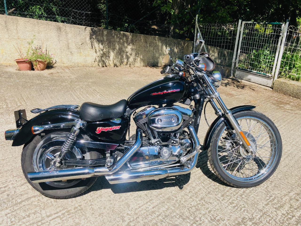 HARLEY DAVIDSON Sportster 1200 Custom Carbu - 2005 LesAnciennes.com