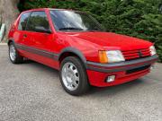 image_1-PEUGEOT 205 GTI - 1987