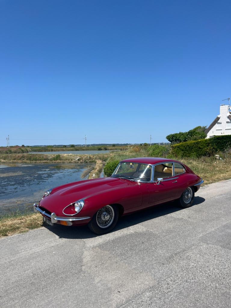 JAGUAR Type E Coupé 2+2 - 1969 LesAnciennes.com