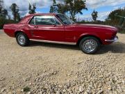 image_8-FORD Mustang coupe - 1967