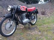image_1-MV AGUSTA 175 CSTL TURISMO LUSSO - 1955