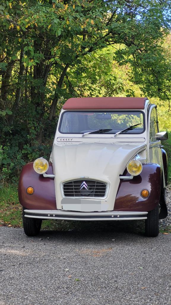 CITROEN 2CV 6 - 1981 LesAnciennes.com