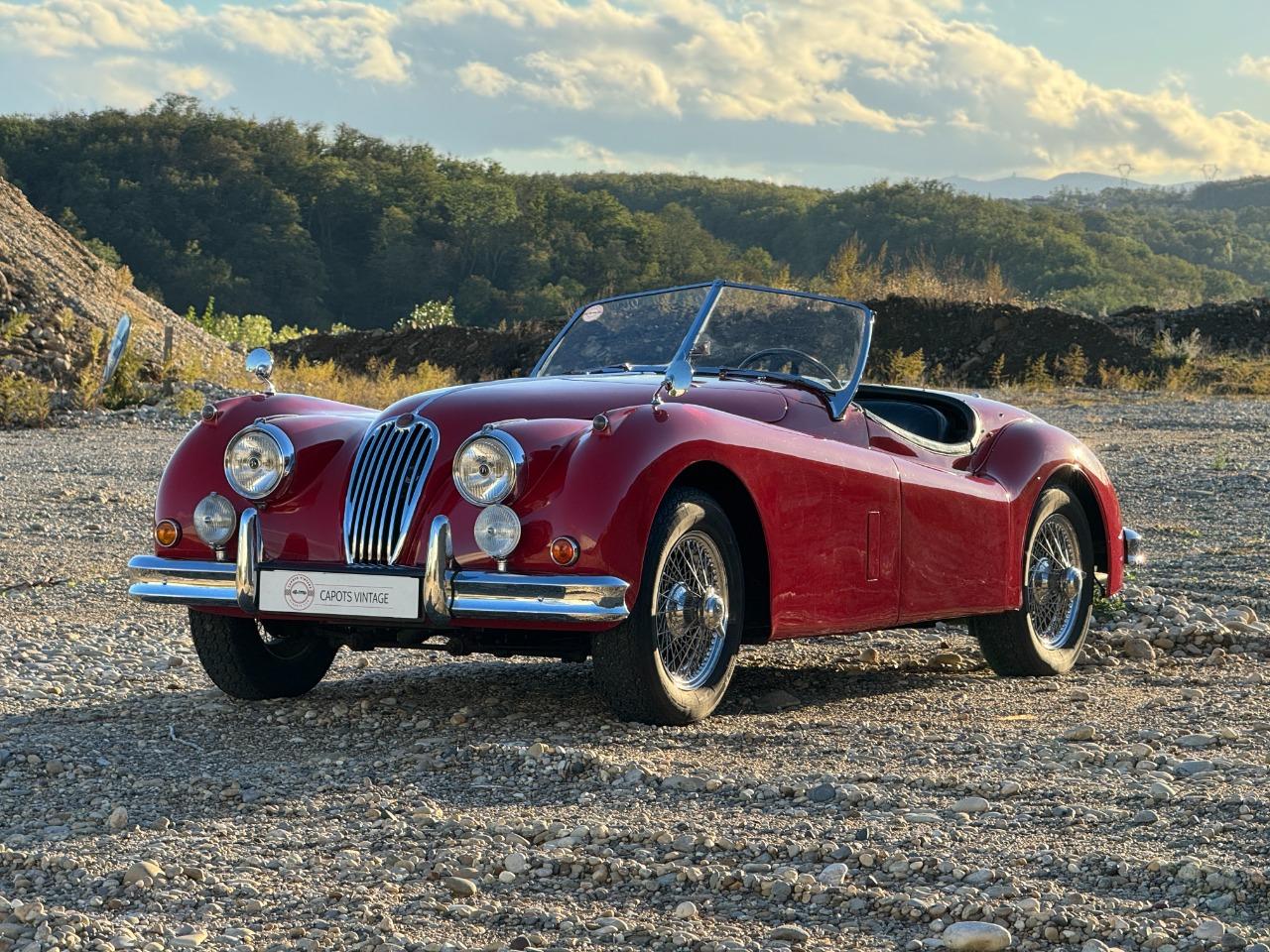 JAGUAR XK140 Roadster MC - 1955 LesAnciennes.com
