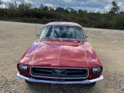 image_2-FORD Mustang coupe - 1967