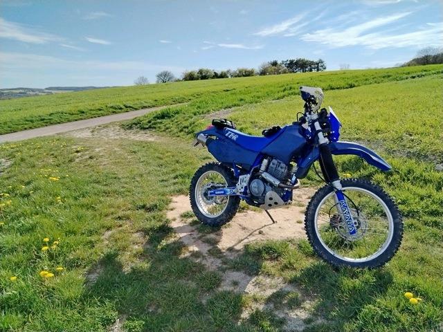 YAMAHA TTR TTR 250 - 1999 LesAnciennes.com