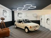 image_0-PEUGEOT 205 LACOSTE - 1985