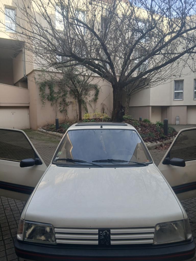 PEUGEOT 205 Gti - 1992 LesAnciennes.com