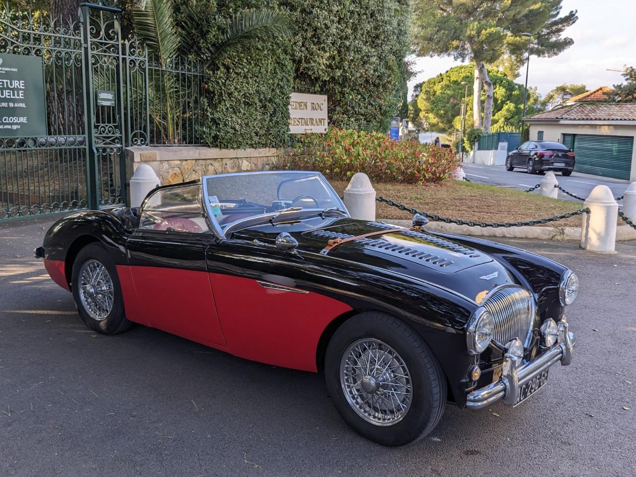 AUSTIN HEALEY 100 BN1 - 1955 LesAnciennes.com