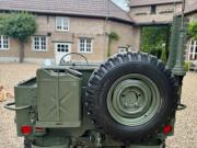 image_4-JEEP Willys CJ5 - 1950