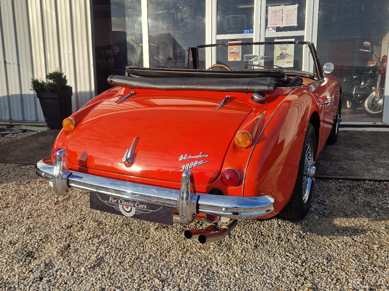 AUSTIN HEALEY 3000 BJ8 - 1966 LesAnciennes.com