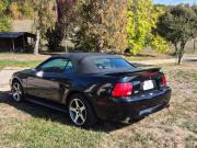 image_2-FORD Mustang - 2000