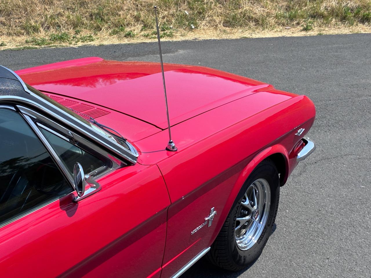 FORD Mustang 289 ci - 1965 LesAnciennes.com