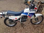 image_4-HONDA MTX Lee Cooper - 1987