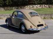 image_2-VOLKSWAGEN Coccinelle 11 Sedan Oval - 1954