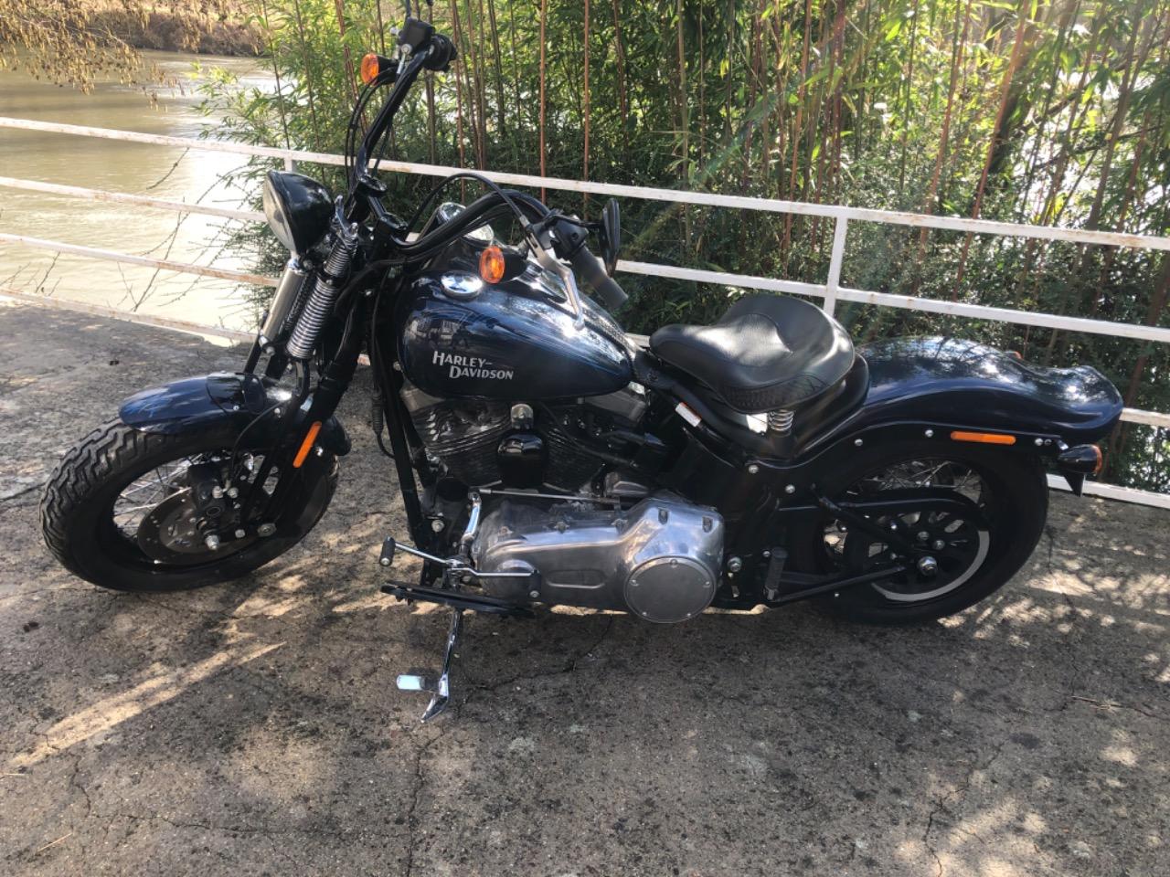 HARLEY DAVIDSON CROSS BONES softail - 2008 LesAnciennes.com