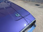 image_103-DODGE Challenger 440 six pack R/T - 1971