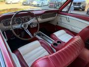 image_3-FORD Mustang 289 ci 4.7 GT Coupé - 1965