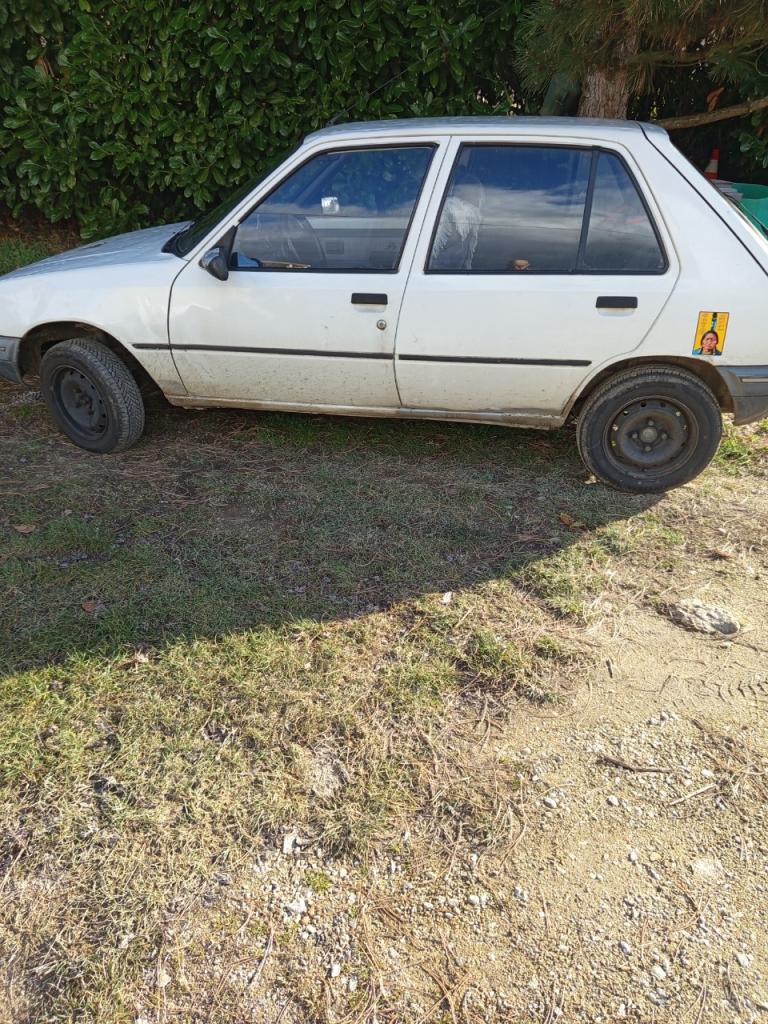 PEUGEOT 205 Grd - 1991 LesAnciennes.com