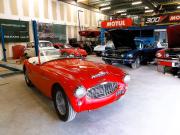 image_1-AUSTIN HEALEY 3000 Bt7 Mk1 1959 - 1959