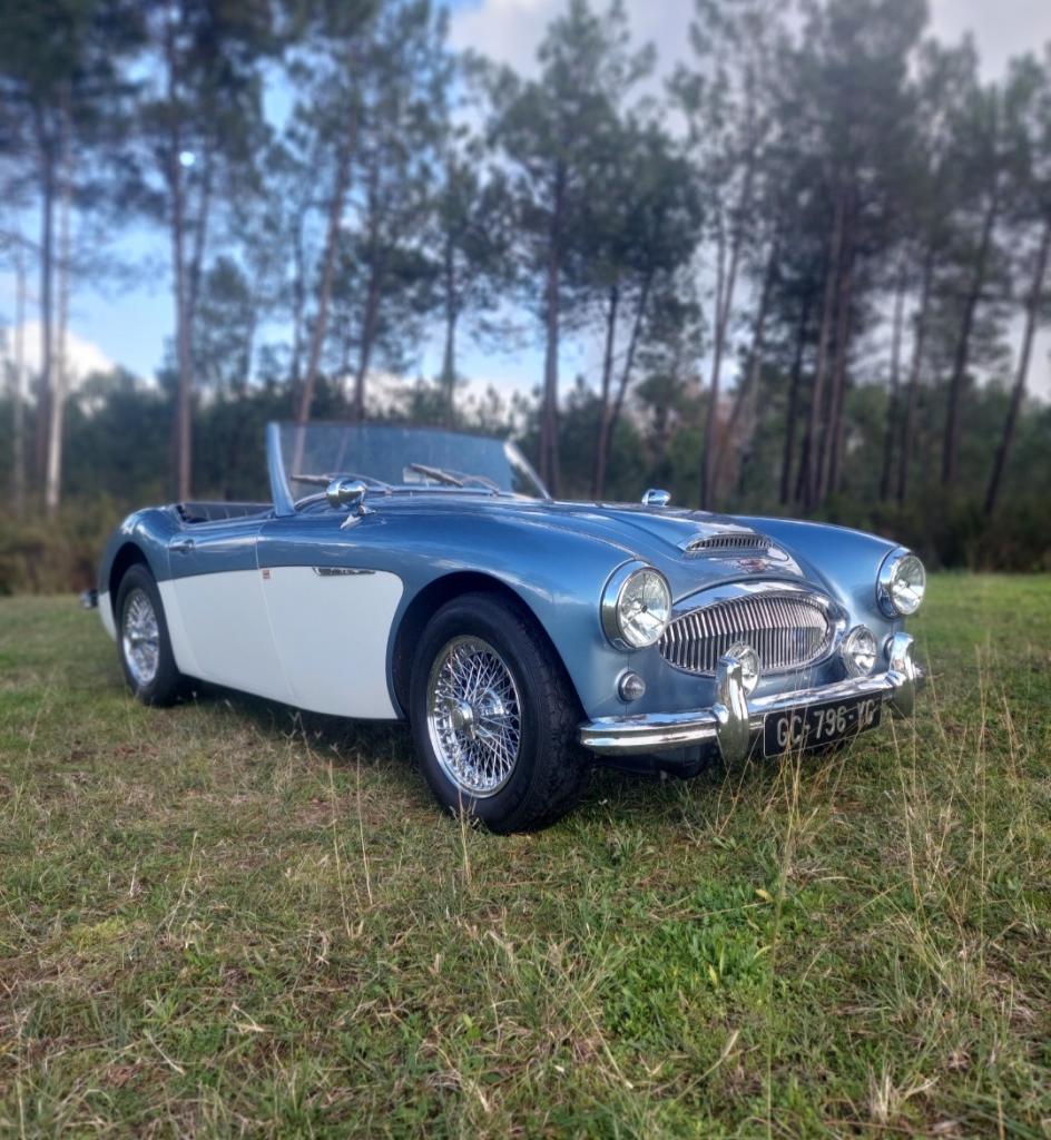 AUSTIN HEALEY 3000 Bt7 - 1962 LesAnciennes.com