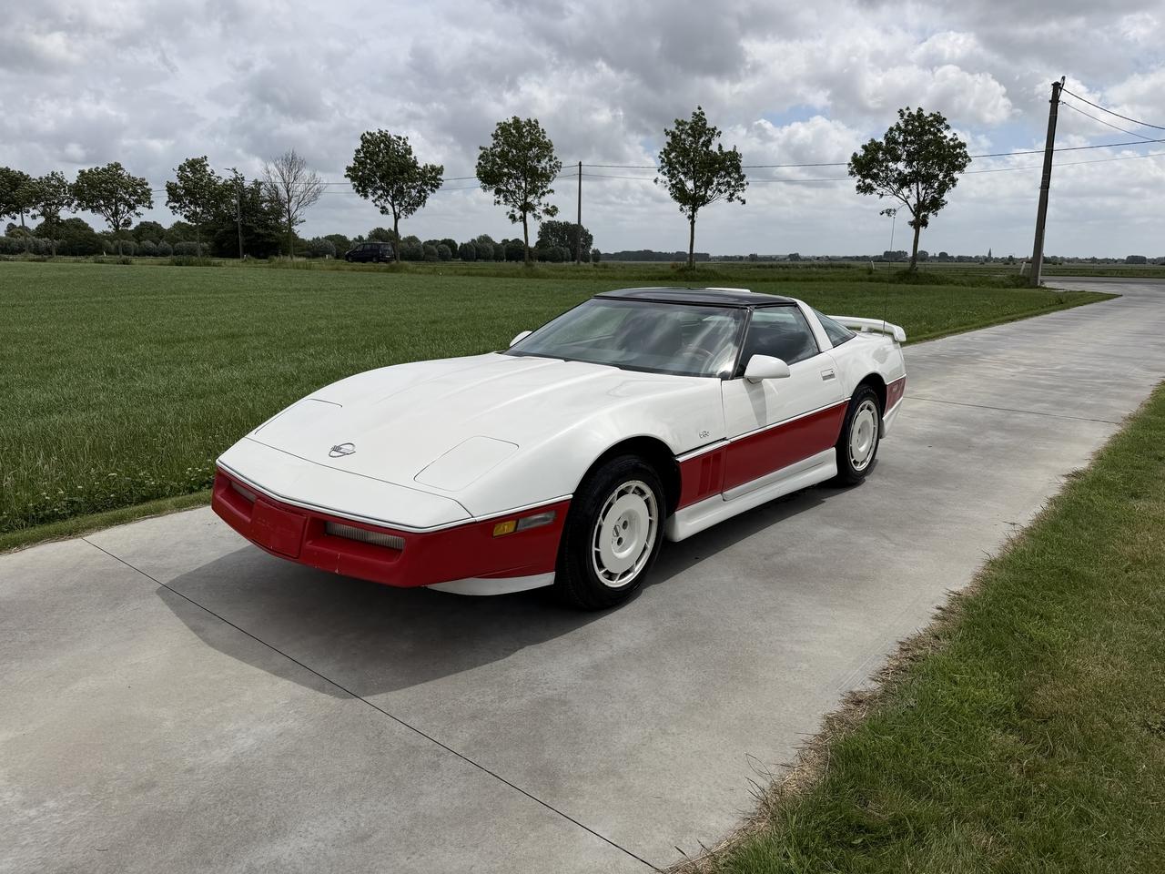1979 Chevrolet Corvette C4 LesAnciennes.com