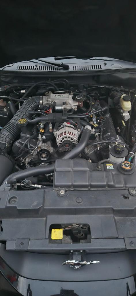 2000 Ford Mustang 4th Gen SN95, foto 5