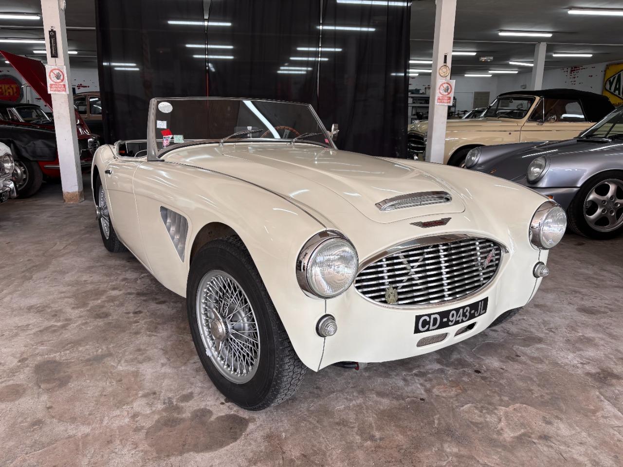 AUSTIN HEALEY 3000 BT7 2+2 - 1959 LesAnciennes.com