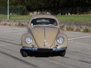 image_7-VOLKSWAGEN Coccinelle 11 Sedan Oval - 1954