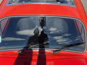 image_10-VOLKSWAGEN Coccinelle 1200 - 1976
