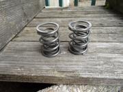 image_0-Ressorts de soupapes TERROT
