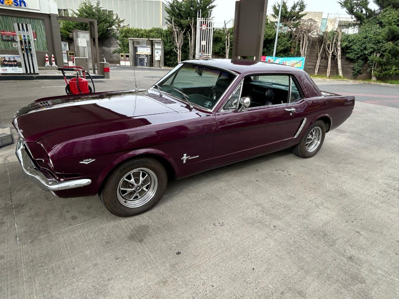 FORD Mustang Coupé - 1966 LesAnciennes.com