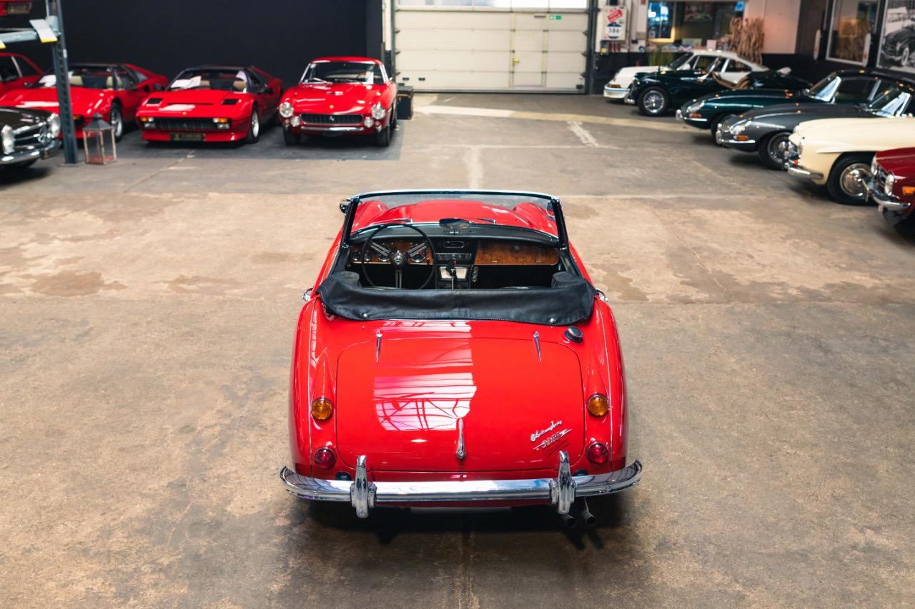 1967 AUSTIN HEALEY 3000 MKIII BJ8 Phase 2, foto 6