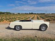 image_5-AUSTIN Healey Sprite - 1962
