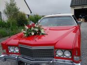 image_0-CADILLAC Eldorado - 1974