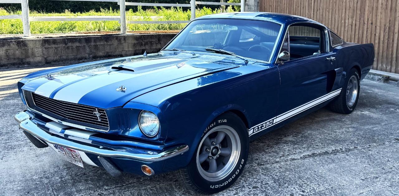 FORD Mustang SHELBY GT 350 - 1965 LesAnciennes.com