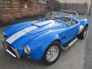 image_0-AC Cobra PILGRIM - 1994