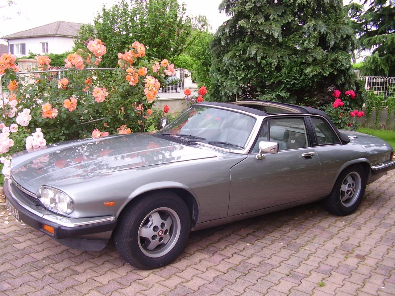 JAGUAR XJS coupé/cabriolet - 1986 LesAnciennes.com
