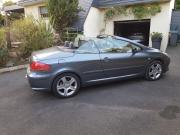 image_12-PEUGEOT 307 cc cabriolet cabriolet - 2006