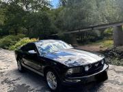 image_1-FORD Mustang