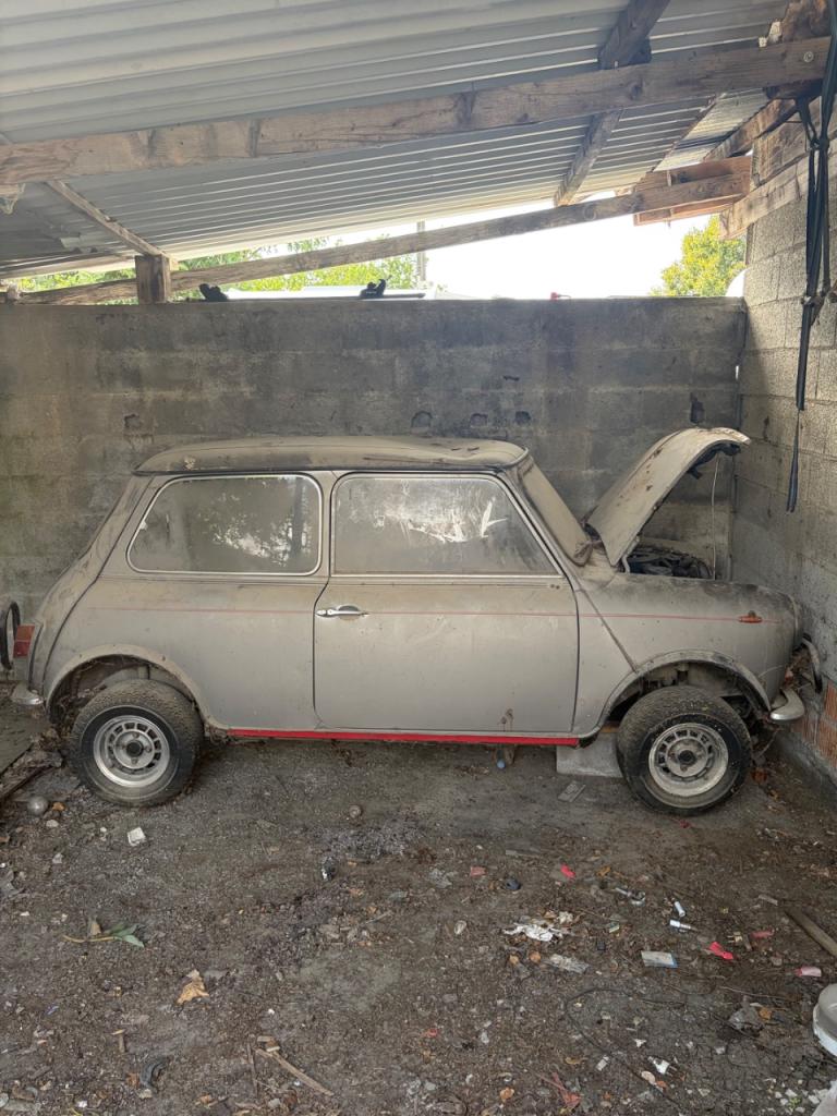 AUSTIN Mini - 1980 LesAnciennes.com
