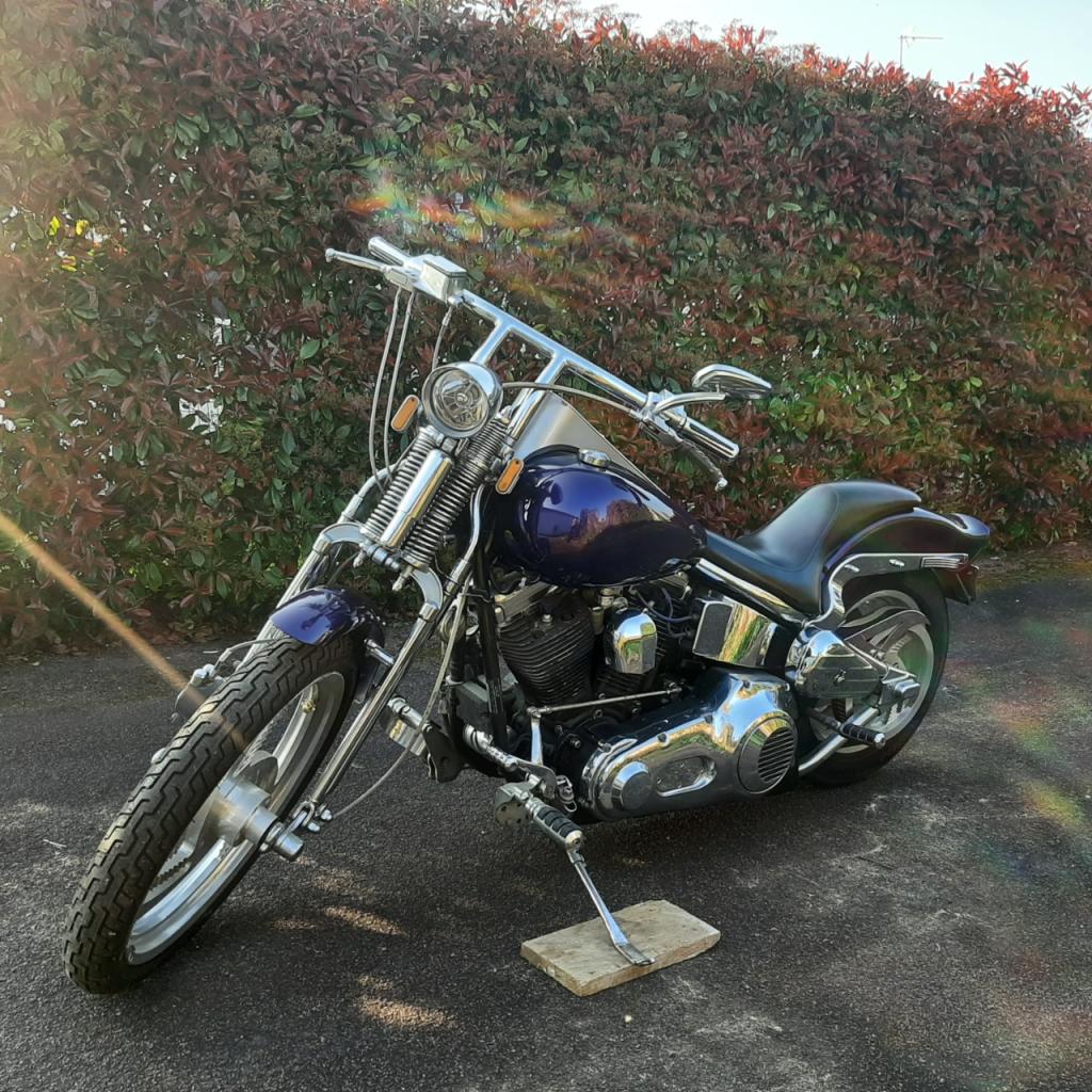 HARLEY DAVIDSON Softail Springer - 1990 LesAnciennes.com
