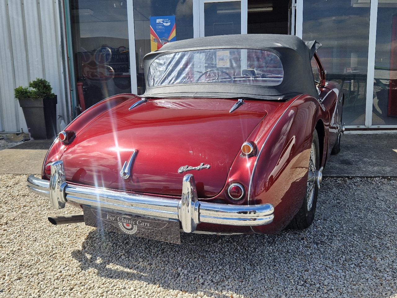 AUSTIN HEALEY 100 BN2 - 1956 LesAnciennes.com