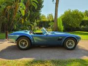 image_4-AC Cobra 289 FIA V8 302 ci - 1960
