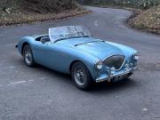 image_0-AUSTIN HEALEY 100 BN1 - 1954